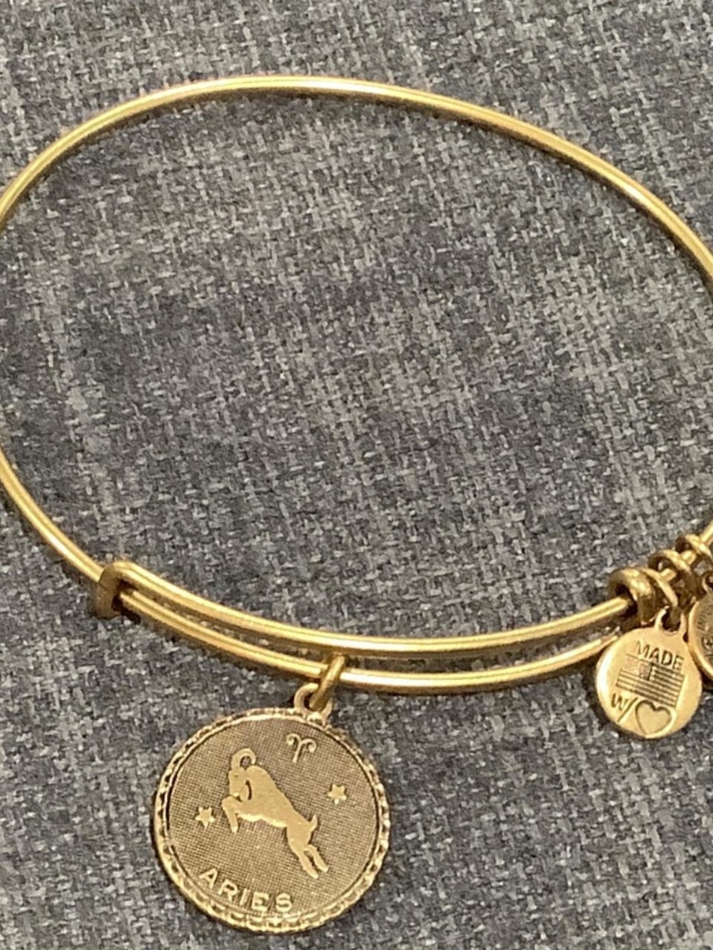 Alex and Ani Wire Charm Bangle